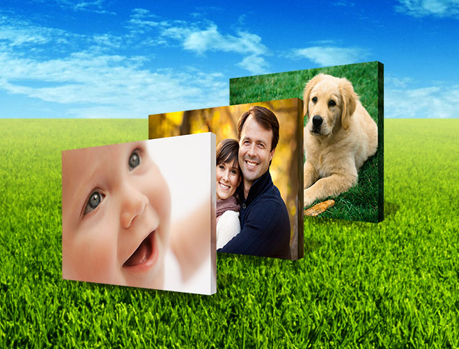 Banners Printing Companies Banner Printing Durban