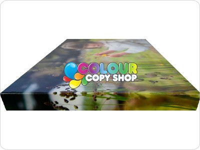 A4 Canvas Mounted